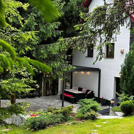 Mountain Chalet - Cabana La Muntele Baisorii Muntele Cacovei  Exterior foto