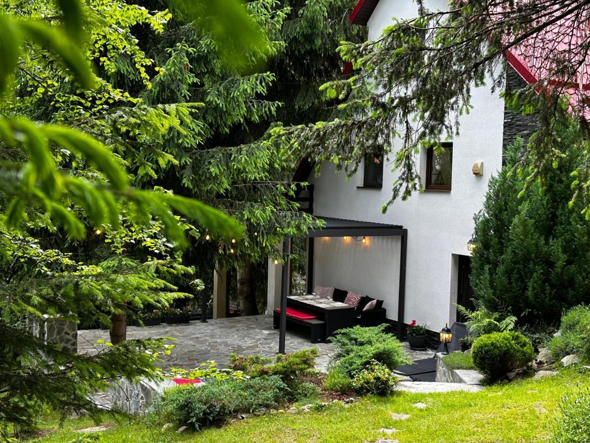 Mountain Chalet - Cabana La Muntele Baisorii Muntele Cacovei  Exterior foto