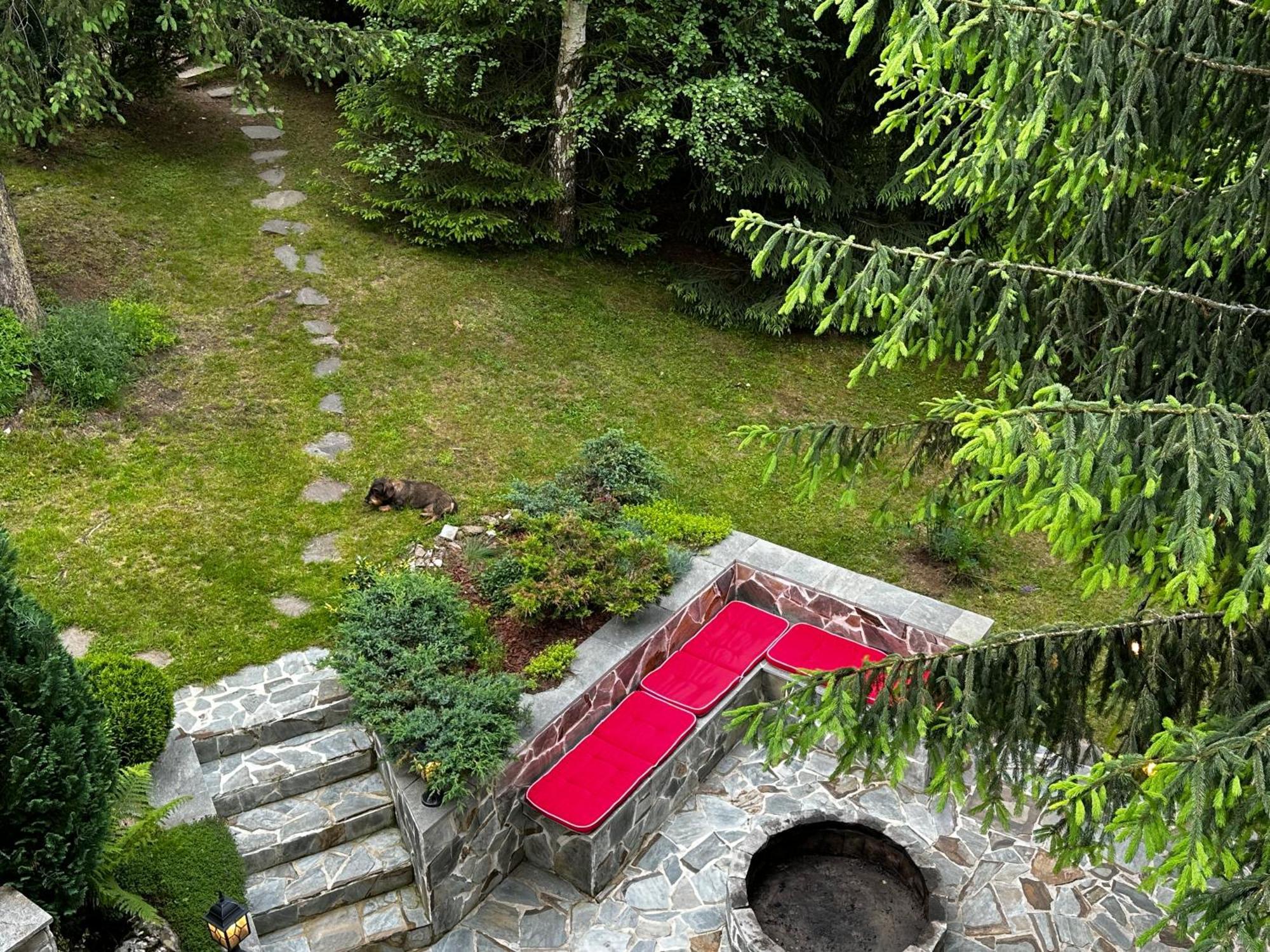 Mountain Chalet - Cabana La Muntele Baisorii Muntele Cacovei  Exterior foto